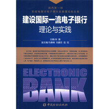 建设国际一流电子银行理论与实践