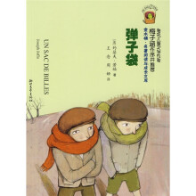 金水桶·名著阅读与成长文库：弹子袋