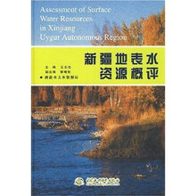 新疆地表水资源概评