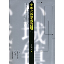 中国小城镇发展战略