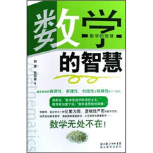 数学的智慧