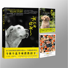 当我遇见你们(套装共3册)我以为你死了 我就要忘记你 遇见·猫的国