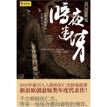 狄仁杰探案2:暗夜迷情