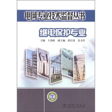 电网专业技术监督丛书：继电保护专业
