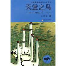天堂之鸟