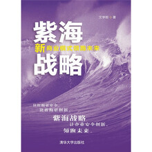 紫海战略：新商业模式领跑未来