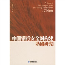 中国银行安全网构建基础研究
