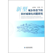 新型城乡形态下的农村城镇化问题研究