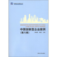 创新型企业建设丛书：中国创新型企业案例（第6辑）
