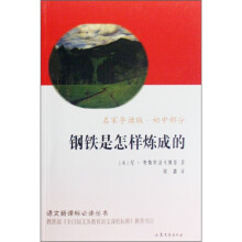 语文新课标必读丛书:钢铁是怎样炼成的(名家导读版·初中部分)