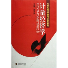 21世纪经济学管理学系列教材：计量经济学