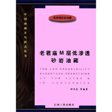 老君庙M层低渗透砂岩油藏