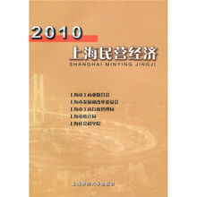 2010上海民营经济