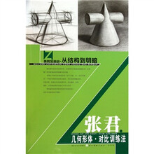 美院加油站·从结构到明暗：张君几何形体对比训练法