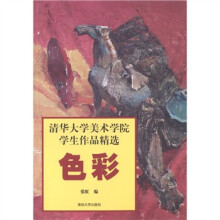 清华大学美术学院学生作品精选:色彩