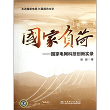 国家负荷：国家电网科技创新实录