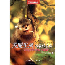 濒临灭绝的野生动物:美丽生命的最后乐章