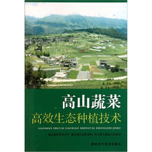 高山蔬菜高效生态种植技术