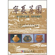 宁夏菜园:新时器时代遗址、墓葬发掘报告