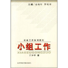 社会工作系列教程：小组工作