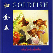 金鱼
