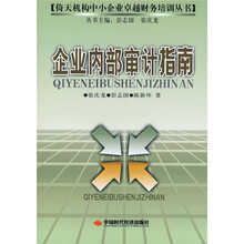 企业内部审计指南