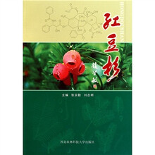 红豆杉