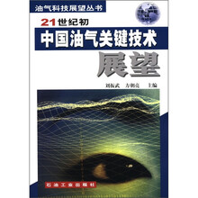 21世纪初中国油气关键技术展望