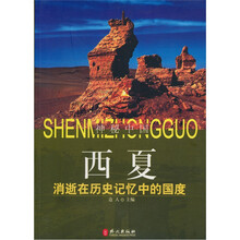 西夏：消逝在历史记忆中的国度