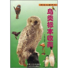 鸟类标本收藏