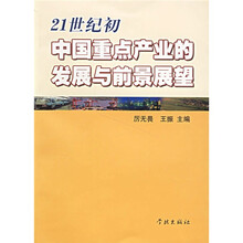21世纪初中国重点产业的发展与前景展望