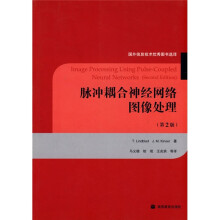 脉冲耦合神经网络图像处理(第2版)