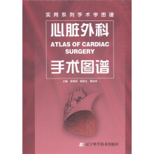 实用系列手术学图谱：心脏外科手术图谱
