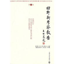 田野新考察报告(第3卷)