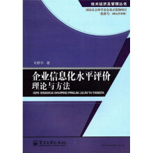 企业信息化水平评价理论与方法