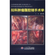 妇科肿瘤腹腔镜手术学（附光盘）