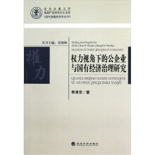 权力视角下的公企业与国有经济治理研究