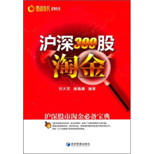 沪深300股淘金