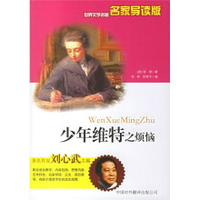 少年维特之烦恼