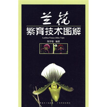 兰花繁育技术图解