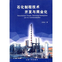 石化制程技术开发与商业化