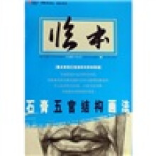 石膏五官结构画法