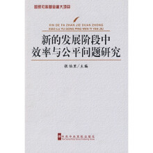 新的发展阶段中效率与公平问题研究