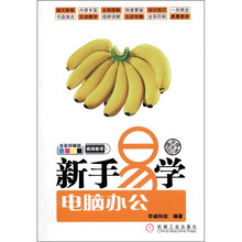 新手易学：电脑办公（附光盘1张）