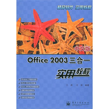 中文版Office 2003三合一实用教程