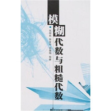 模糊代数与粗糙代数
