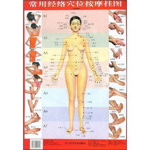 常用经络穴位按摩挂图(随挂图附说明书)