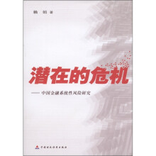 潜在的危机：中国金融系统性风险研究