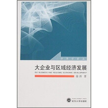 大企业与区域经济发展