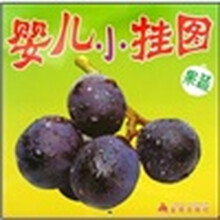 婴儿小挂图：果蔬